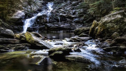 Had to wait on the light to get just right...totality worth it!!!
#InStone