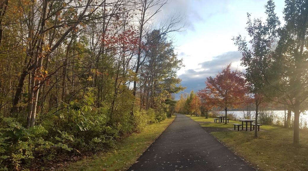 Great trail for a bike ride