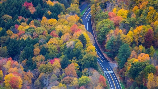 A car driving on a road surrounded by fall color in New England - aerial