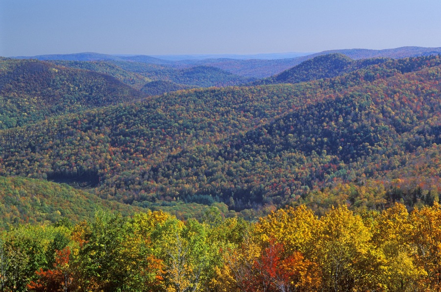Berkshire Mountains in Autumn, Deerfield, Massachusetts