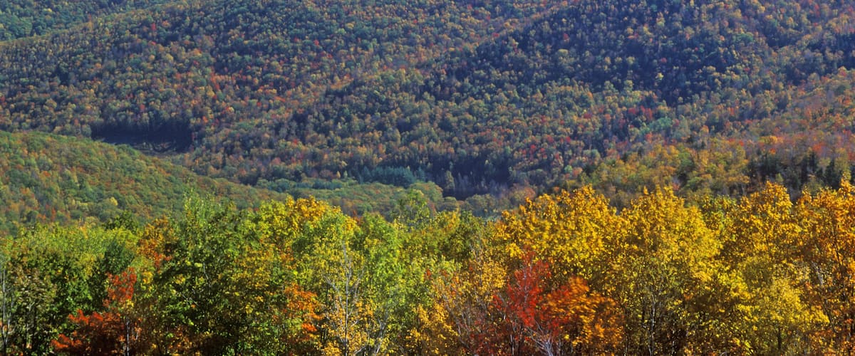 A forested mountain range with autumn foliage.