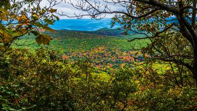 Fall colors through the trees