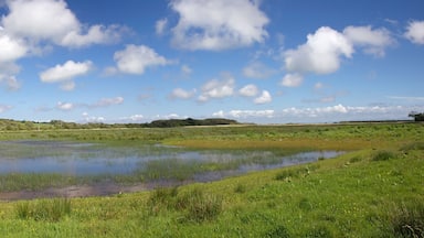 Mersehead Bruiach Hide Panorama