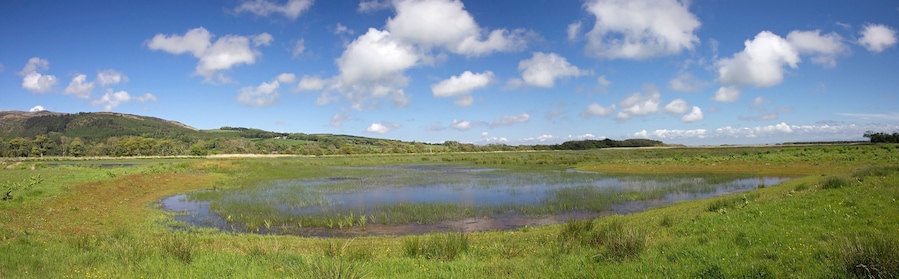 Mersehead Bruiach Hide Panorama
