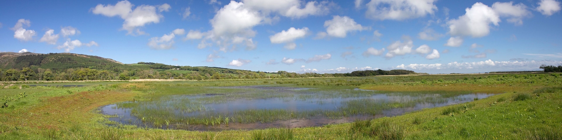 Mersehead Bruiach Hide Panorama