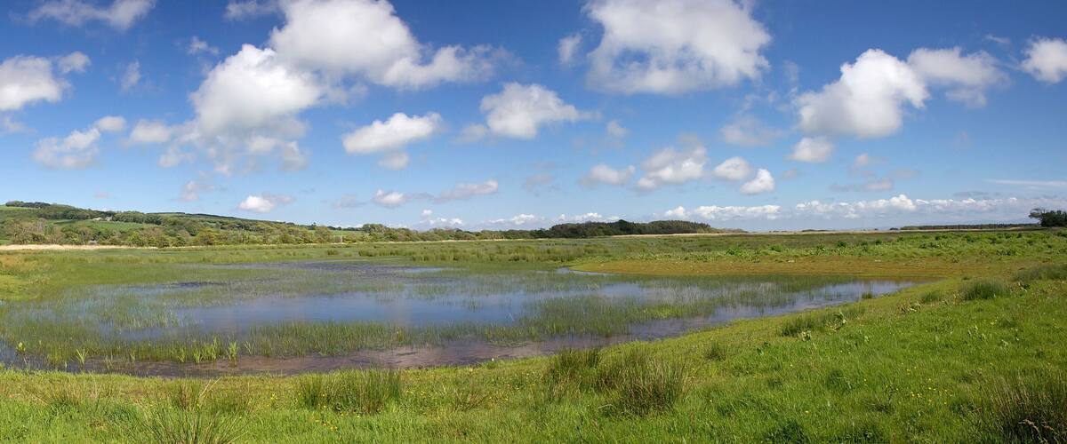 A wetland with a small pond surrounded by grassy fields and hills in the background.