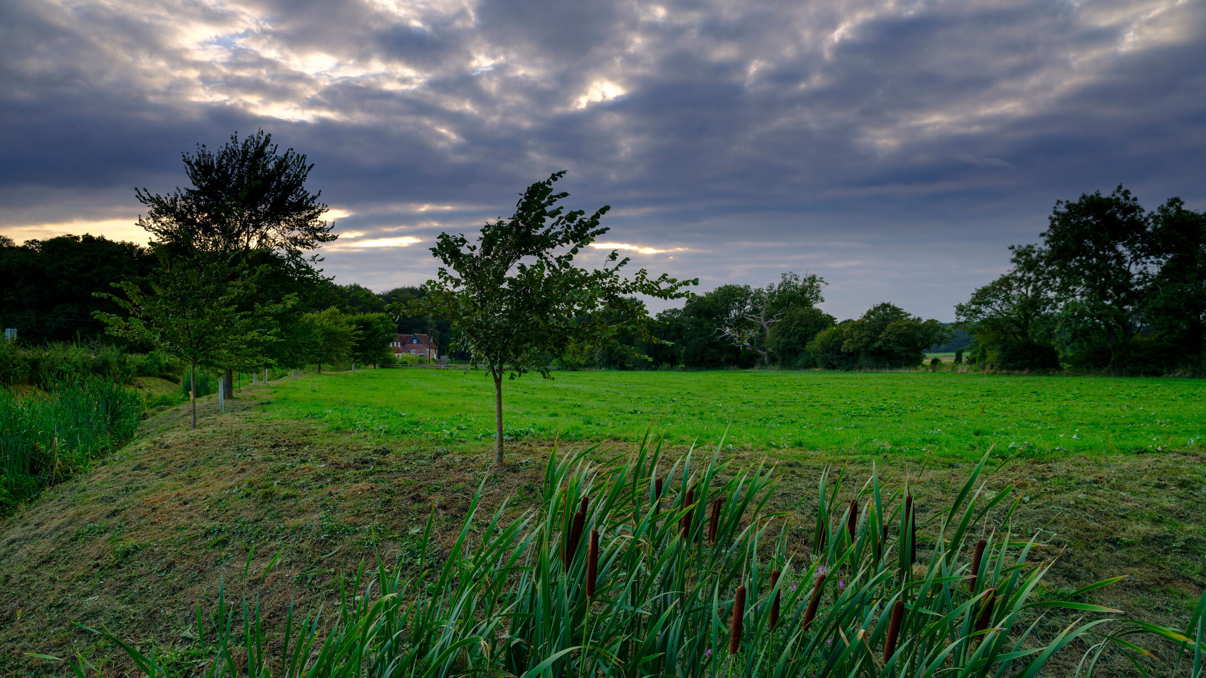 サウスウィック