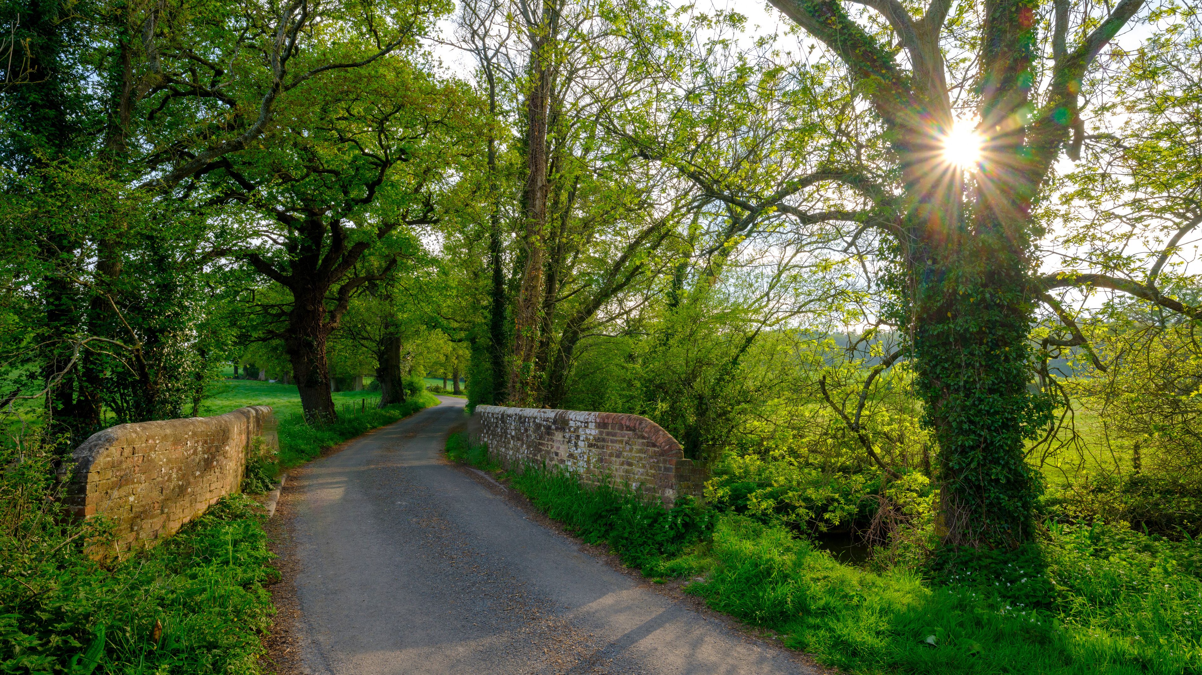 サウスウィック