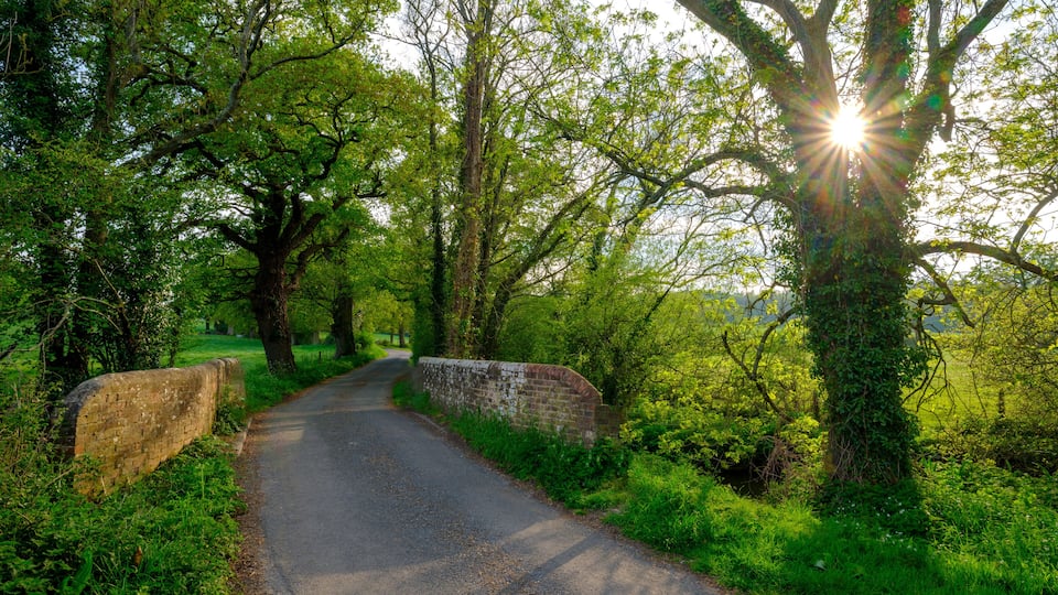 Beckford bridge and country lane in spring near Southwick, UK