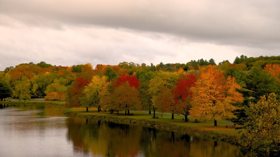 A park with a lake, autumn-colored trees, and picnic tables.