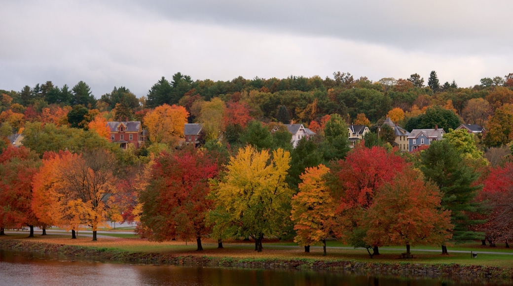 Turners Falls showing a park, a river or creek and autumn leaves