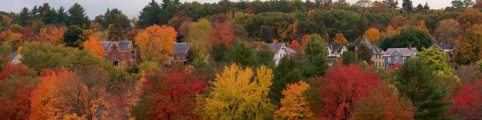 Turners Falls showing a garden, a river or creek and fall colors