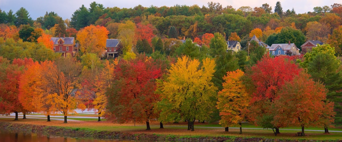 Turners Falls which includes a river or creek and autumn leaves