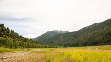 Wide angle landscape view of a mountain valley with a dry meadow and forested slopes
