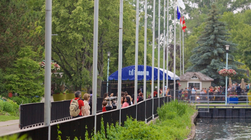 Toronto Islands which includes a bay or harbor as well as a small group of people