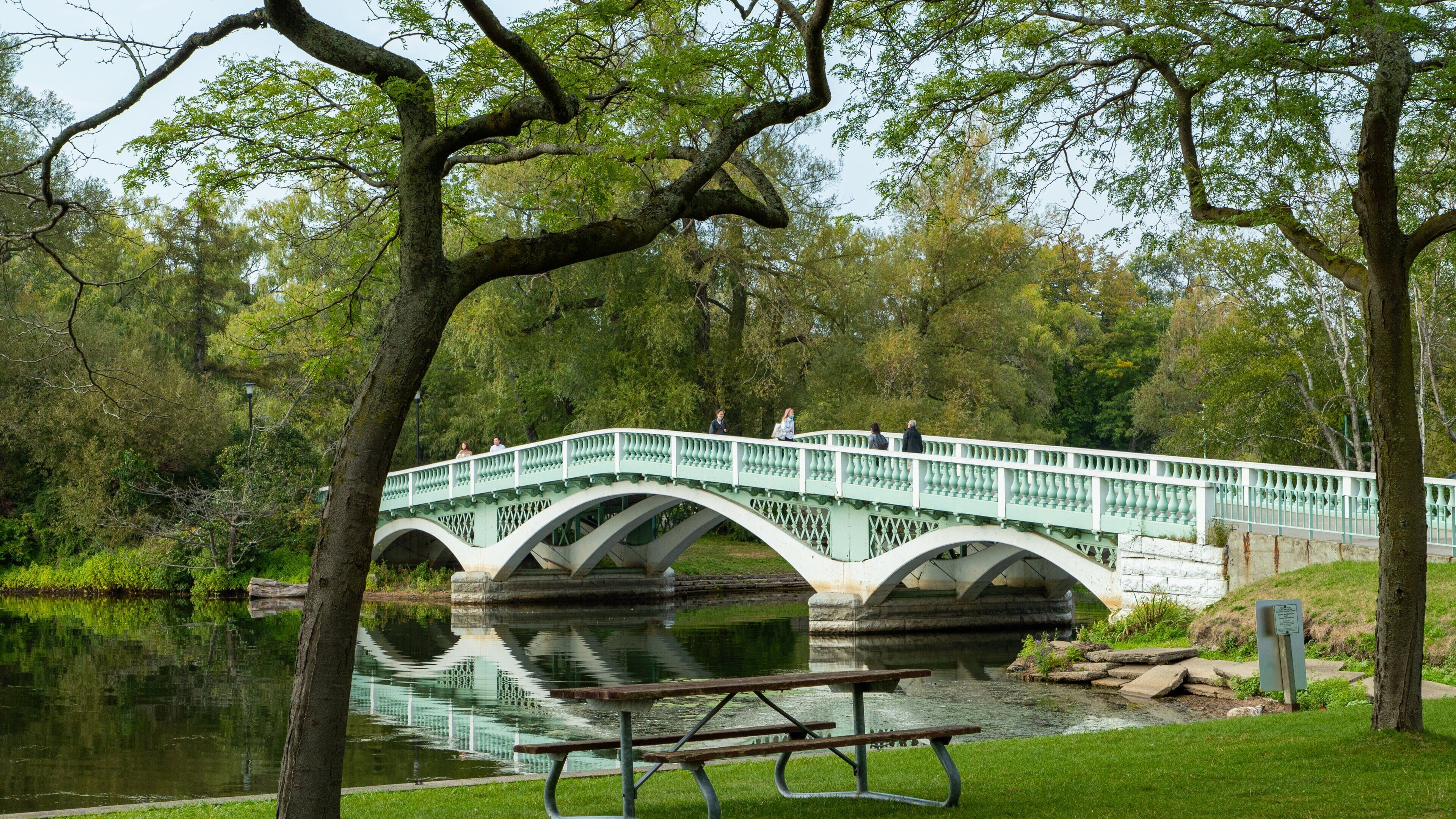 Toronto Islands which includes a pond, a bridge and a garden