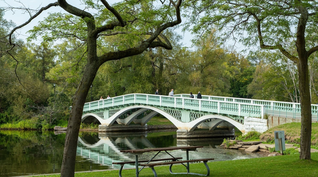 Toronto Islands which includes a pond, a bridge and a garden
