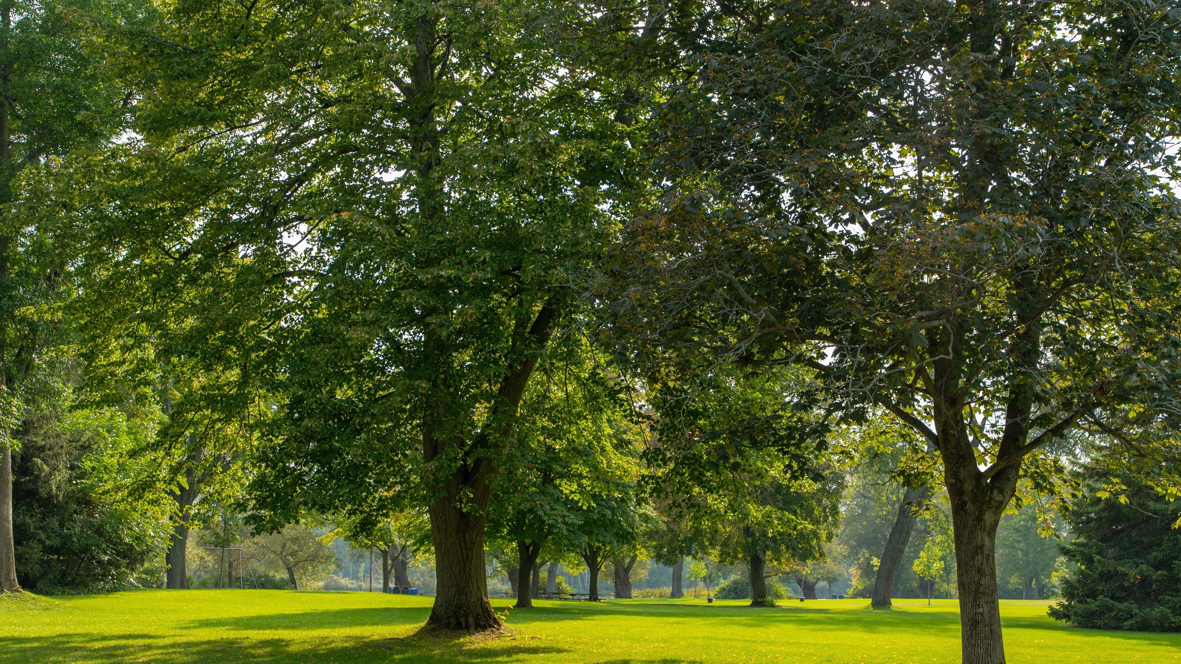 Toronto Islands which includes a garden