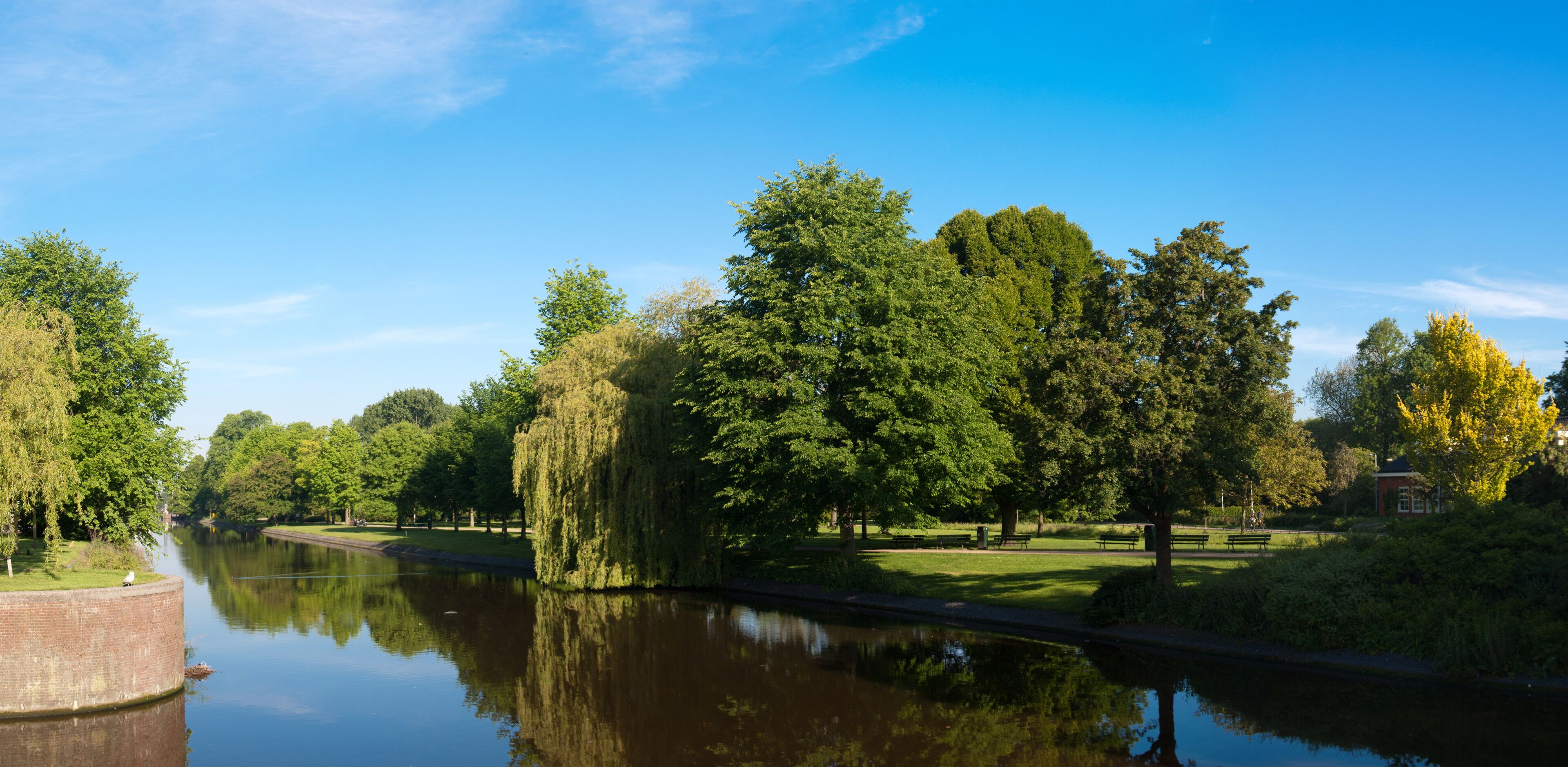 Reflections on a canal in Westerpark, Amsterdam.