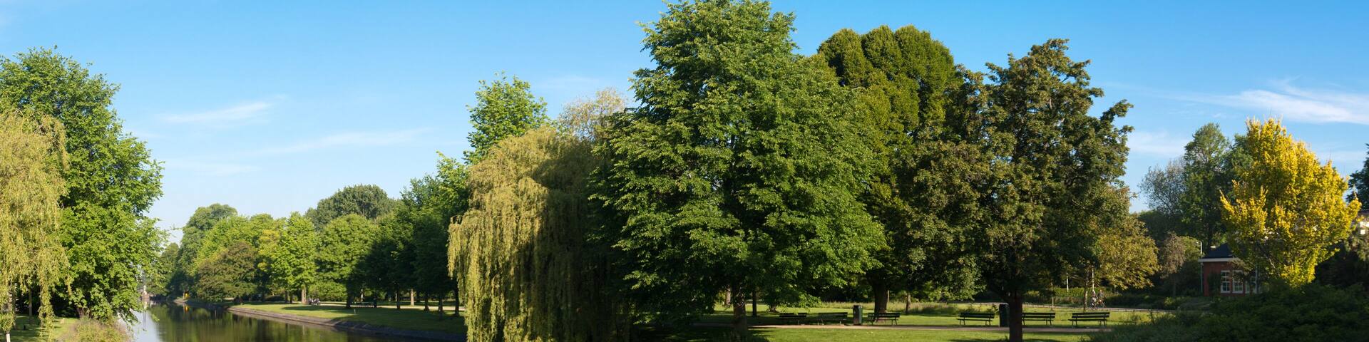 Reflections on a canal in Westerpark, Amsterdam.