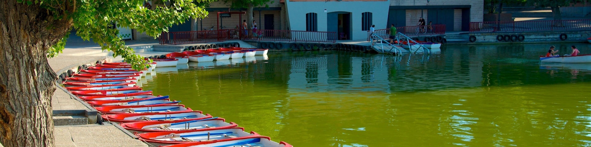 A row of red and white rowboats docked along a tree-lined waterfront.