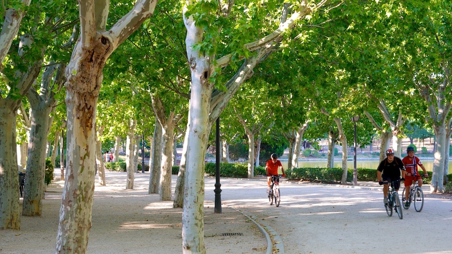 Madrid featuring cycling and a garden