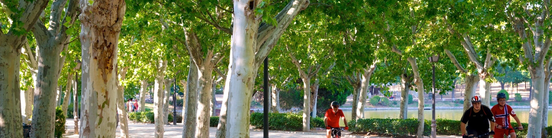 Casa de Campo mit einem Park und Fahrradfahren