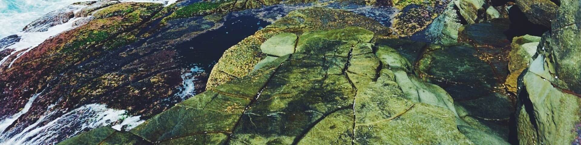 En route Figure Eight Pools, Royal National Park. Make sure you take this hike at low tide as this part of the hike may be inaccessible at high tide #waterlust #australia #hiking #nature