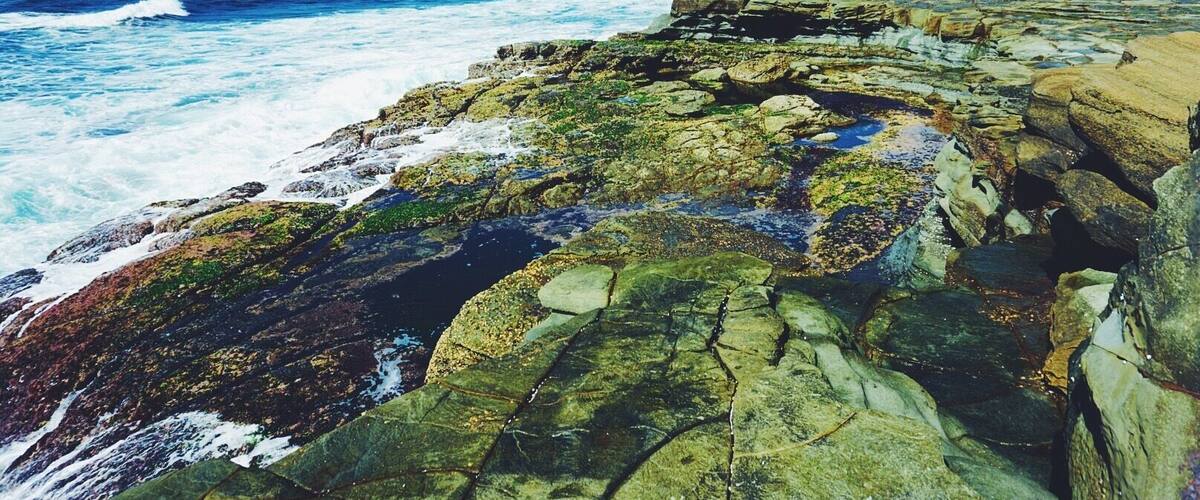 A rocky coastline with waves crashing against the shore and a cliff with vegetation in the background.