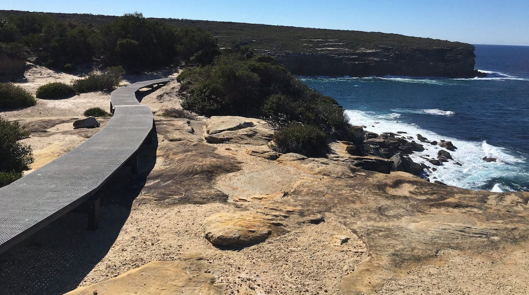 The National Park has extended the pathway from the lookout to meet up with the Southern end of the track to Otford. A great place to spot whales!