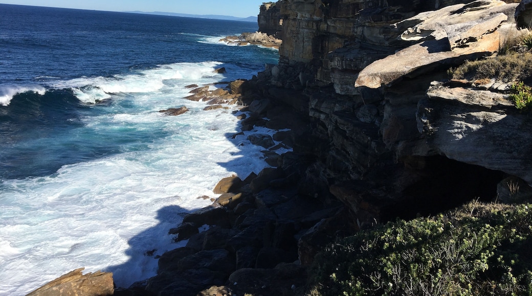 A great spot to take the kids on holidays to whale watch.