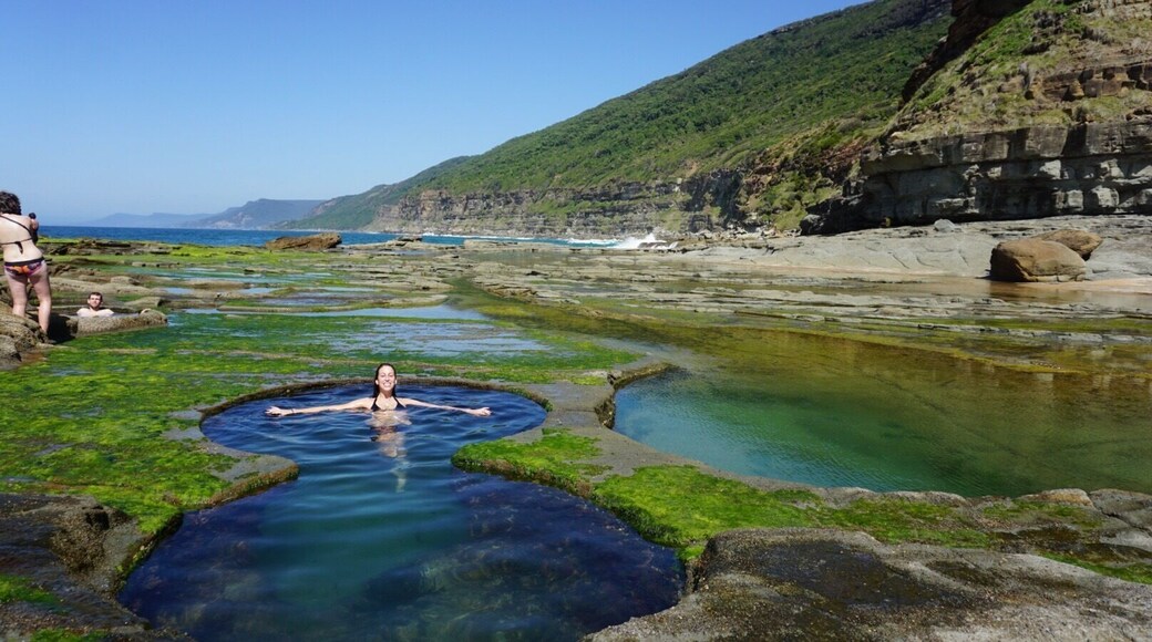 Another photo from the #figureeightpool Royal National Park, Sydney! Look at that view! Take the Burning Palms track down to the pools where you can swim in deep rock pools. Take a dip at Burnin Palms beach while you're at it! #nature #rockpools #waterlust #hiking #australia #bestof5