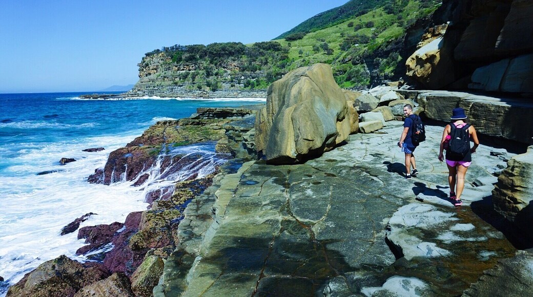 En route Figure Eight Pool, Royal National Park. Park at Garrawarra Farm Carpark to access the beginning of the hike. Follow signs to Burning Palms Beach and through to Figure 8 rock pools. Come at low tide or this rock wall will be covered ! #hiking #australia #nature