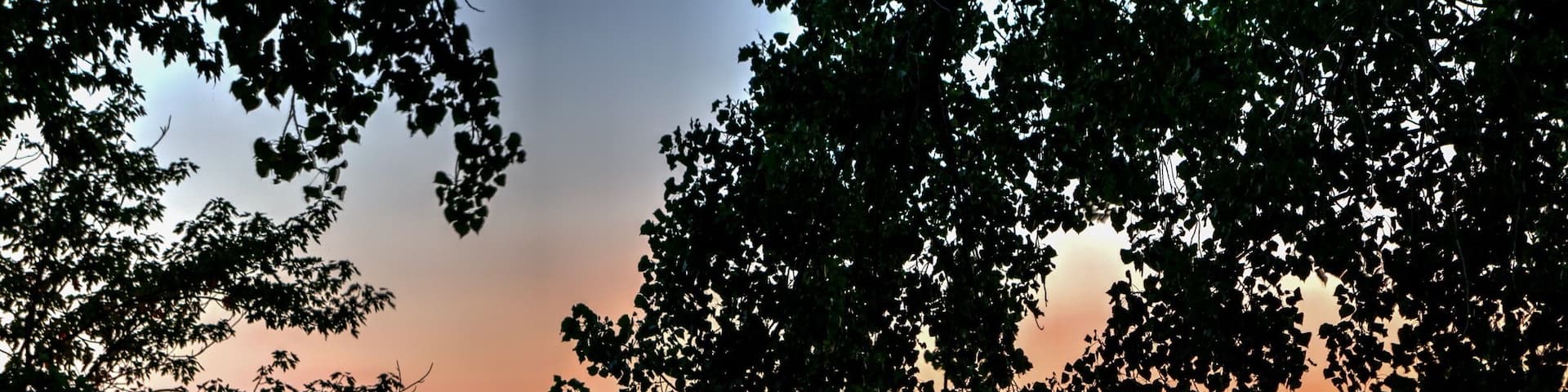 Sunset 🌅 - Superbe Coucher soleil @heritagesaintbernard #heritagesaintbernard #sunset #stefcarlephotography #sonyalpha #tamron1750f28 #gitzoinspires #ndfilter #longexposure #longexposure_shots #slowshutterspeed #quebec #canada