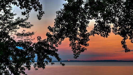 Sunset ๐
- Superbe Coucher soleil @heritagesaintbernard #heritagesaintbernard #sunset #stefcarlephotography #sonyalpha #tamron1750f28 #gitzoinspires #ndfilter #longexposure #longexposure_shots #slowshutterspeed #quebec #canada