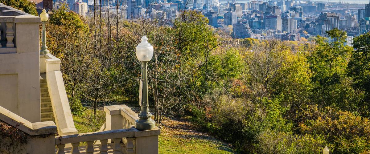 Un horizonte urbano con edificios modernos, un parque con árboles y un farol.