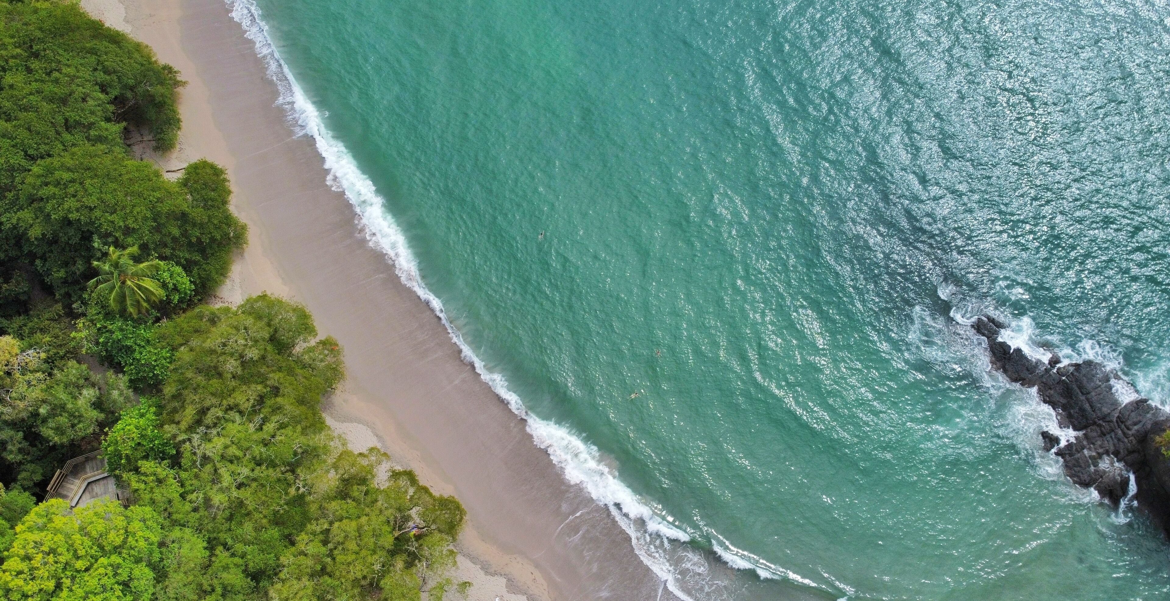 Paruqe Nacional Manuel Antonio (Quepos, Costa Rica). Biodiversidad, animales, arboles y bellas playas.
