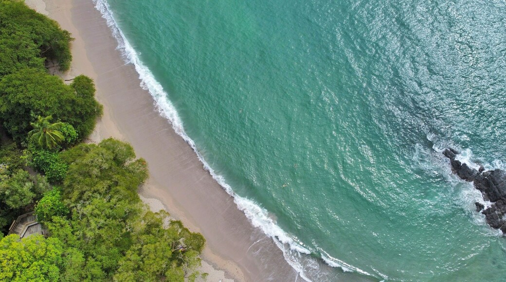 Paruqe Nacional Manuel Antonio (Quepos, Costa Rica). Biodiversidad, animales, arboles y bellas playas.