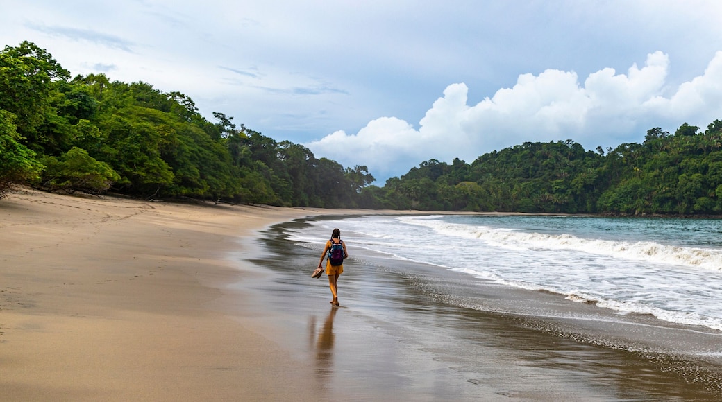 panorama of a tropical beach with palm trees in manuel antonio national park in quepos, Costa Rica; lone backpacker girl walking on a tropical paradise beach in Costa Rica
