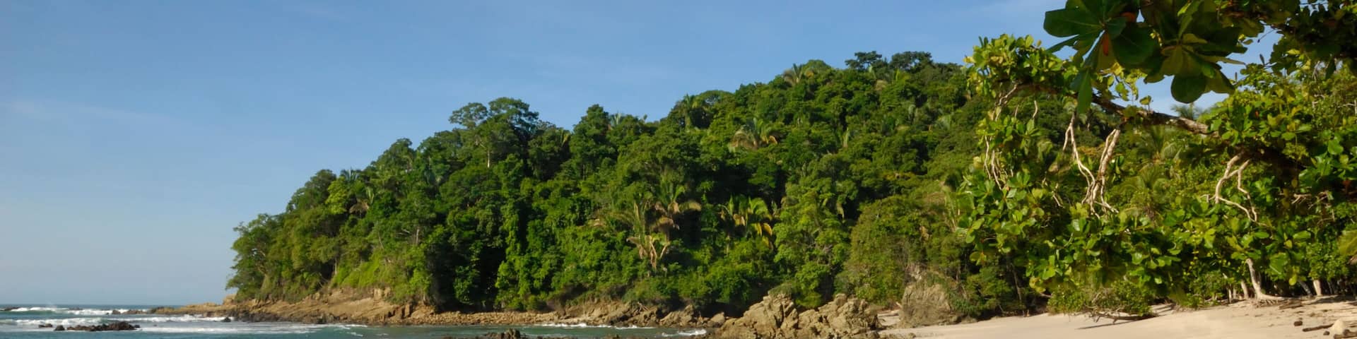 The beach in Manuel Antonio National Park, Costa Rica