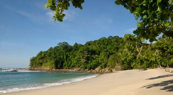 Manuel Antonio
