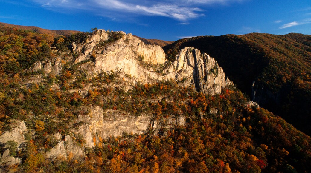 Aerial view of the tuscarora sandstone fins at Seneca Rocks, WV amidst fall colors.