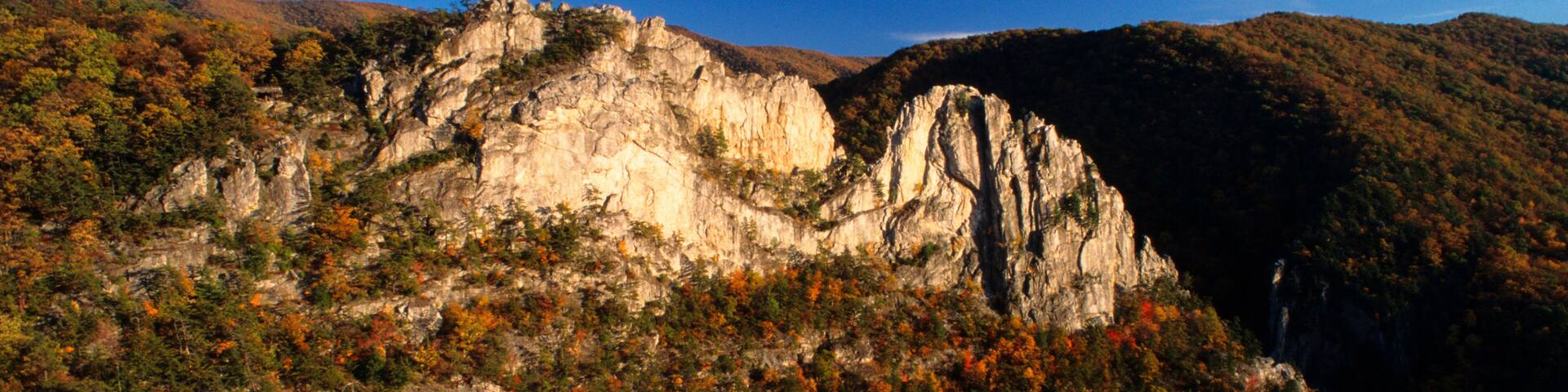 Aerial view of the tuscarora sandstone fins at Seneca Rocks, WV amidst fall colors.