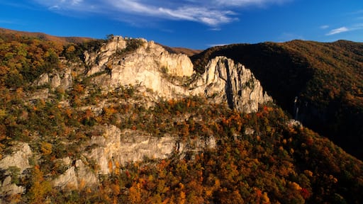 Aerial view of the tuscarora sandstone fins at Seneca Rocks, WV amidst fall colors.