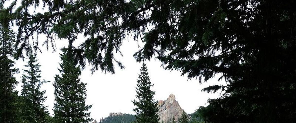 A few miles south of Divide CO, you'll find numerous eroded granite rock formations collectively called “The Crags.” The hike out to the granite dome from which you can view these stunning features is only two miles long. The trail is well marked (#664) and well travelled. Along the trail you’ll pass through forests of enormous quaking aspen, and you’ll trace the track of the beginnings of Four Mile Creek. At the end of the trail, you’ll surmount a wind swept dome from which you can gaze at the Rampart Range, Ute Pass, and the whole of the Catamount Creeks drainage, including the blue reservoirs that capture and control their release.
This is a great option for a day trip. You can make the four miles out and back in less than two hours, but only if you don’t succumb to the temptation to remain on the top of the mountain gawking and the scenery and marveling at the brazen Whisky Jack Jays that populate the wind twisted Bristle Cone Pines.