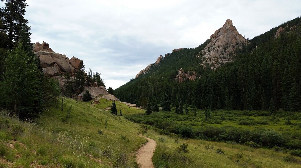 A few miles south of Divide CO, you'll find numerous eroded granite rock formations collectively called “The Crags.” The hike out to the granite dome from which you can view these stunning features is only two miles long. The trail is well marked (#664) and well travelled. Along the trail you’ll pass through forests of enormous quaking aspen, and you’ll trace the track of the beginnings of Four Mile Creek. At the end of the trail, you’ll surmount a wind swept dome from which you can gaze at the Rampart Range, Ute Pass, and the whole of the Catamount Creeks drainage, including the blue reservoirs that capture and control their release.
This is a great option for a day trip. You can make the four miles out and back in less than two hours, but only if you don’t succumb to the temptation to remain on the top of the mountain gawking and the scenery and marveling at the brazen Whisky Jack Jays that populate the wind twisted Bristle Cone Pines.