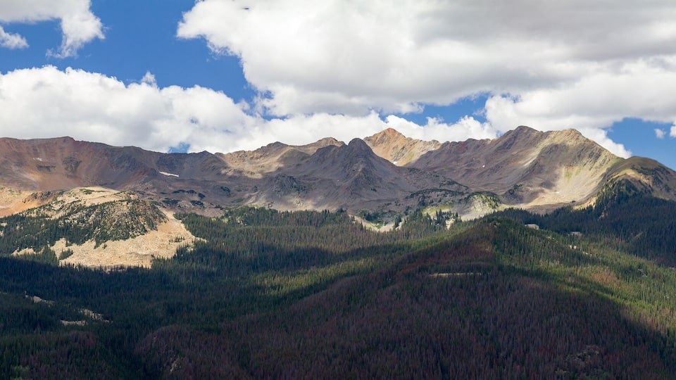 A mountain range with dense forests and rugged peaks under a partly cloudy sky.