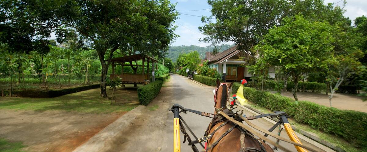 Magelang joka esittää ratsastus ja puisto