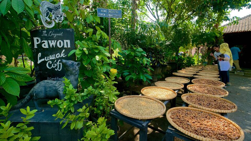 A coffee market with various coffee beans displayed in baskets.