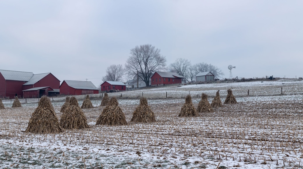 Corn Shocks in a Snowy Field with an Amish Farm with Red Buildings in the Background | Holmes County, Ohio